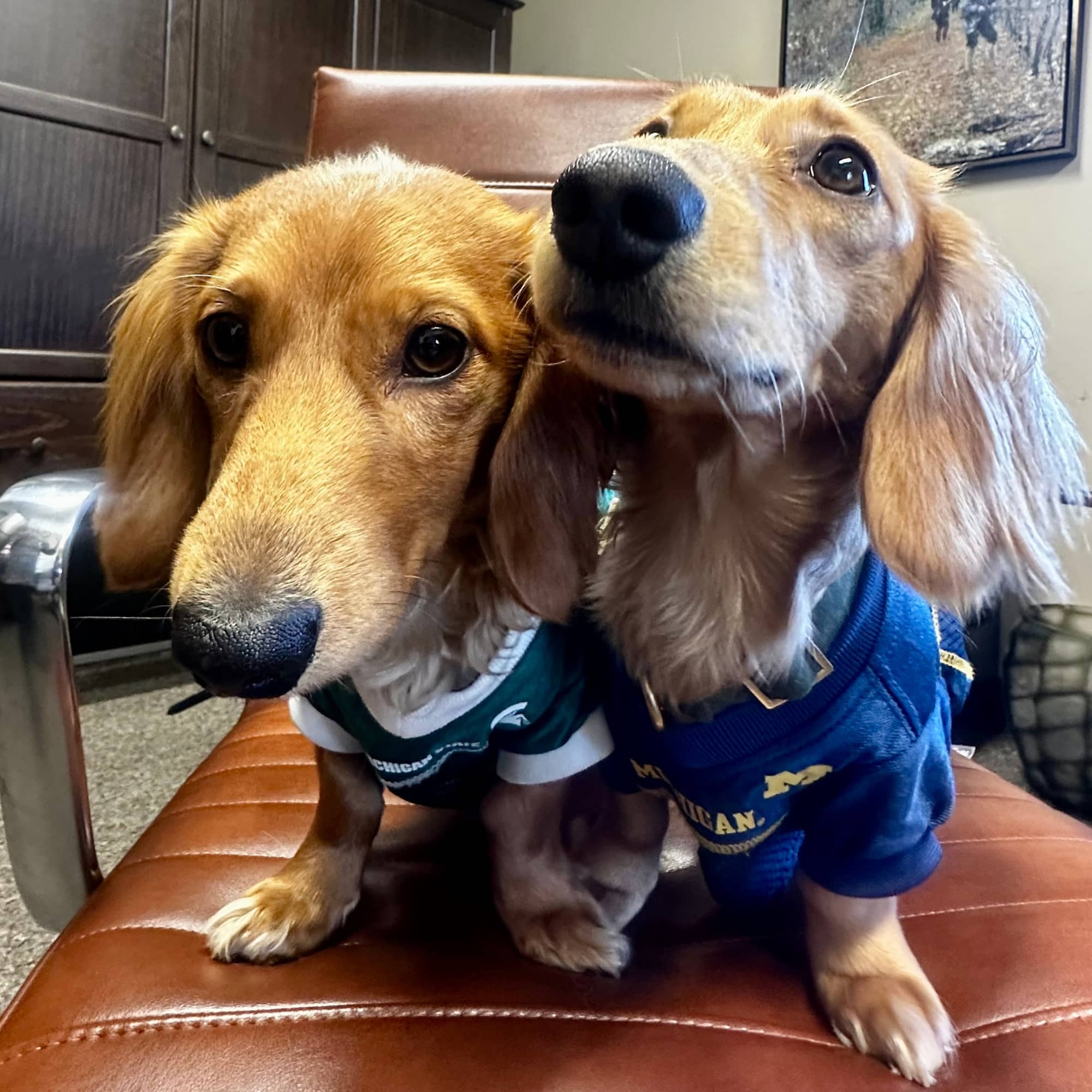 Linus & Lucy Fitzpatrick Insurance